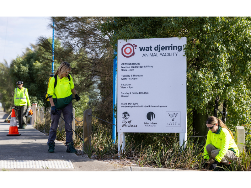 Landscape maintenance workers in high-visibility clothing tending to garden beds beside the Wat Djerring Animal Facility entrance sign.