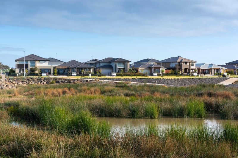 A view of residential houses on a new development, with wetland and reeds in the foreground.