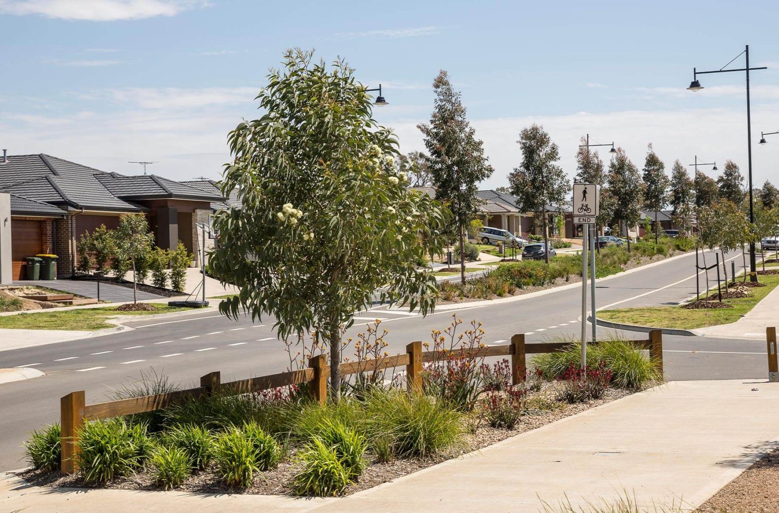 A street view in a residential estate with a tree and garden bed in the foreground and new houses in the background.